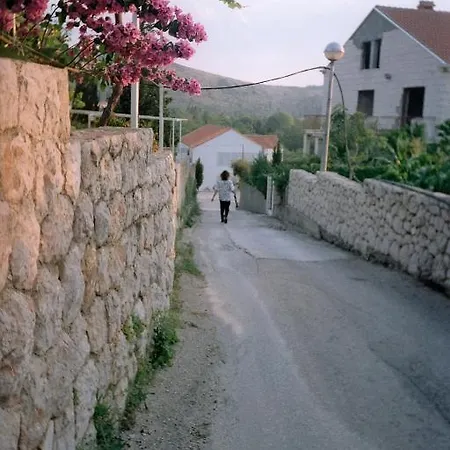 Family House Lise