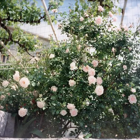 Lejlighed Family House Lise *