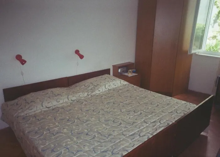 公寓 莉莎公寓 *